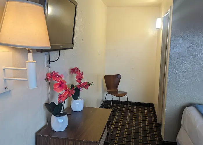 Economy Southern Comfort 2*